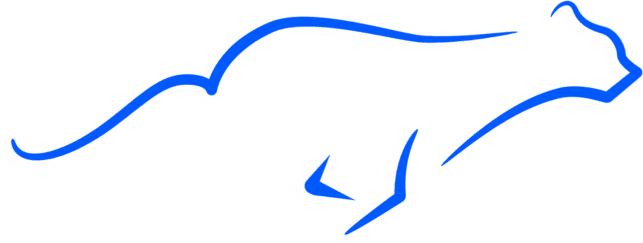 Efficiënt transport